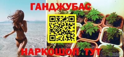 бошки Донецк